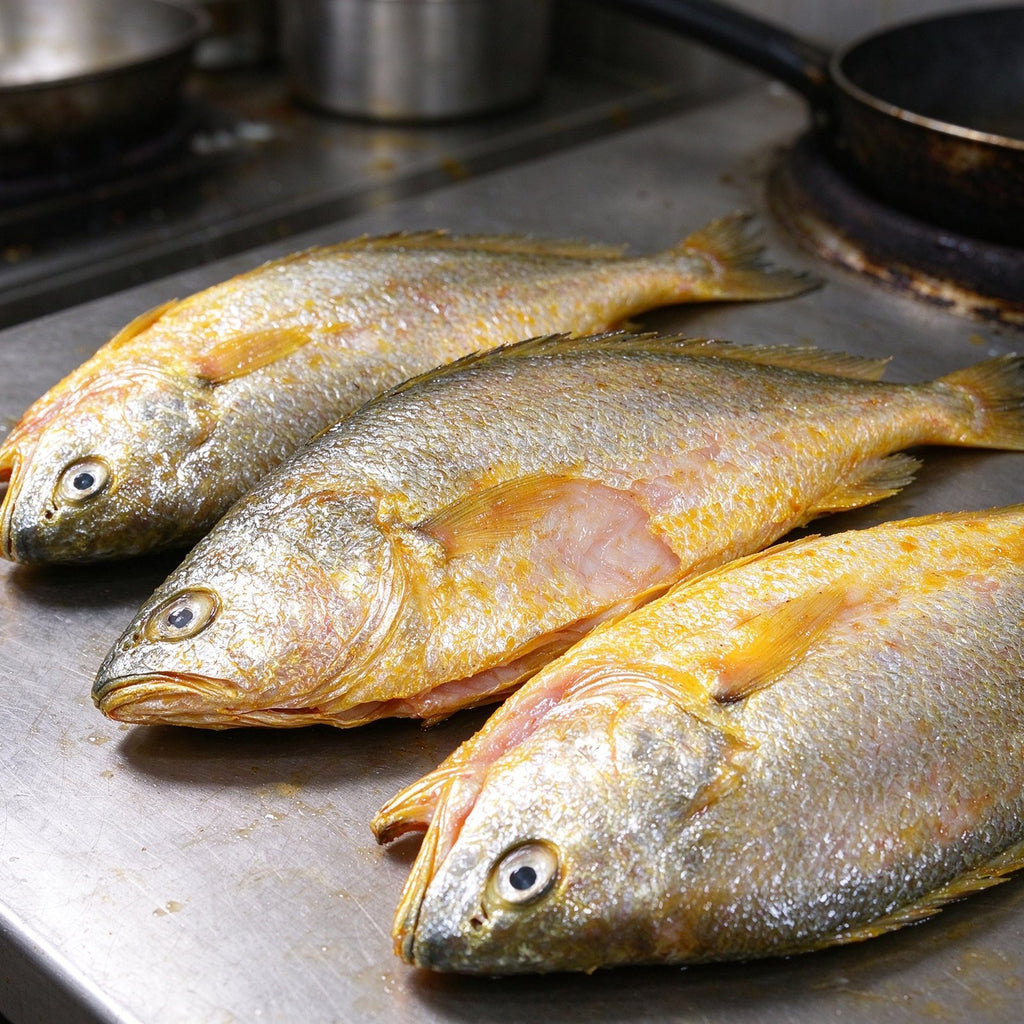 Frozen Whole Yellow Croaker Fish