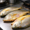 Frozen Whole Yellow Croaker Fish